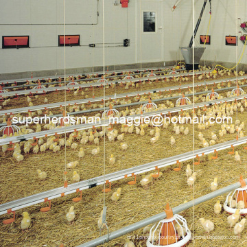 Alimentação de aves de capoeira automática de alta qualidade e sistema de bebidas para frango